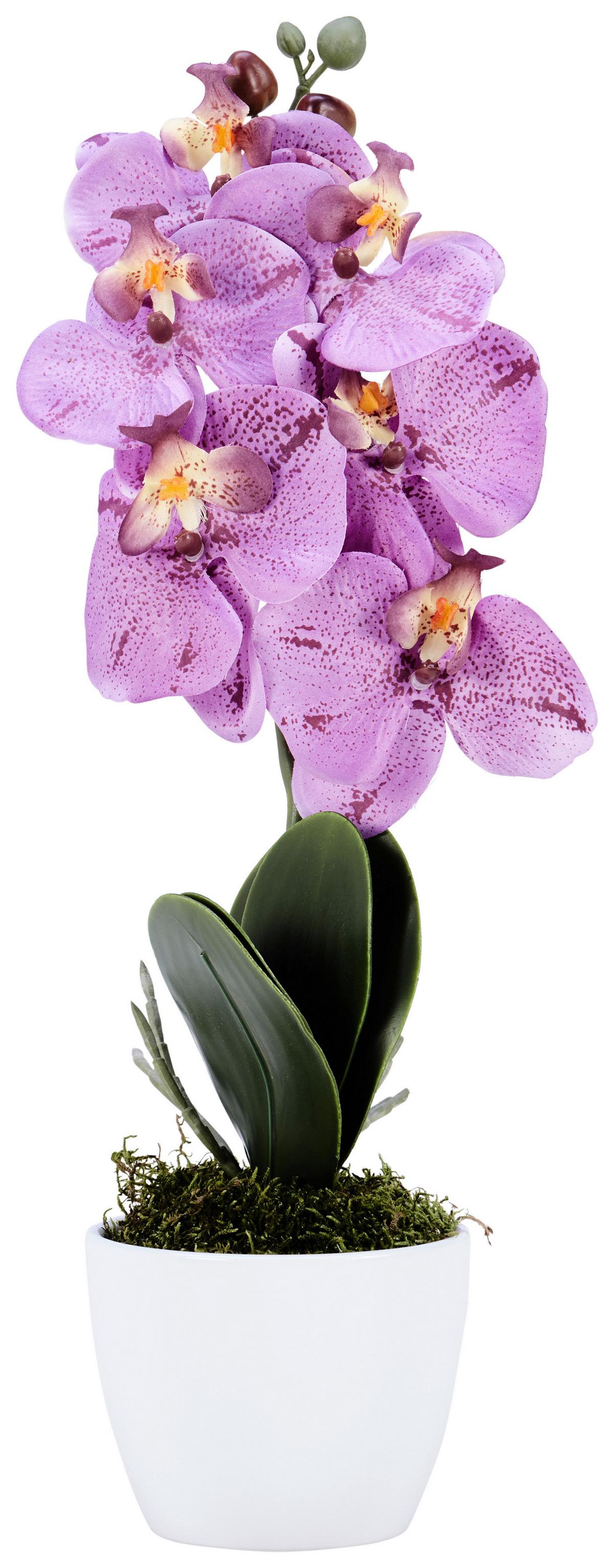 Kunstpflanze Orchidee Bunt H: 40 Cm Im Topf, Sofie - Lila/Weiß, KONVENTIONELL, Keramik/Kunststoff (40cm)