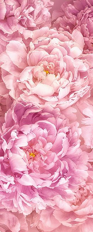 Vliestapete Soave Panel - Rosa, Basics (100/250cm) - Komar