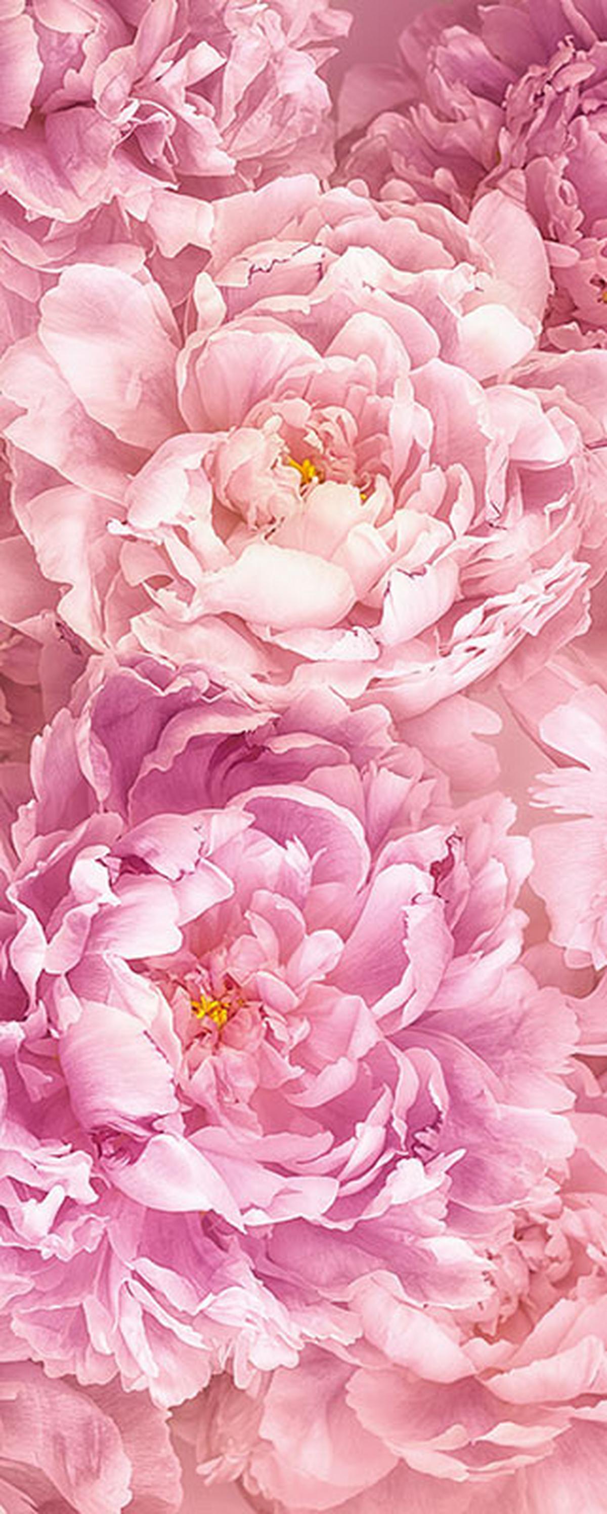 Vliestapete Soave Panel - Rosa, Basics (100/250cm) - Komar
