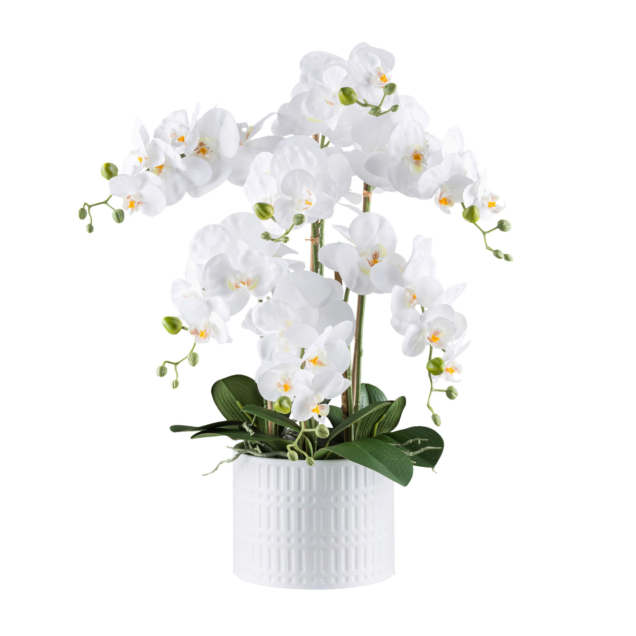 Kunstpflanze Orchideen Grün/Weiß, 60 cm - Weiß/Grün, Design, Keramik/Kunststoff (60cm) - P & B