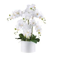 Kunstpflanze Orchideen Grün/Weiß, 60 cm - Weiß/Grün, Design, Keramik/Kunststoff (60cm) - P & B