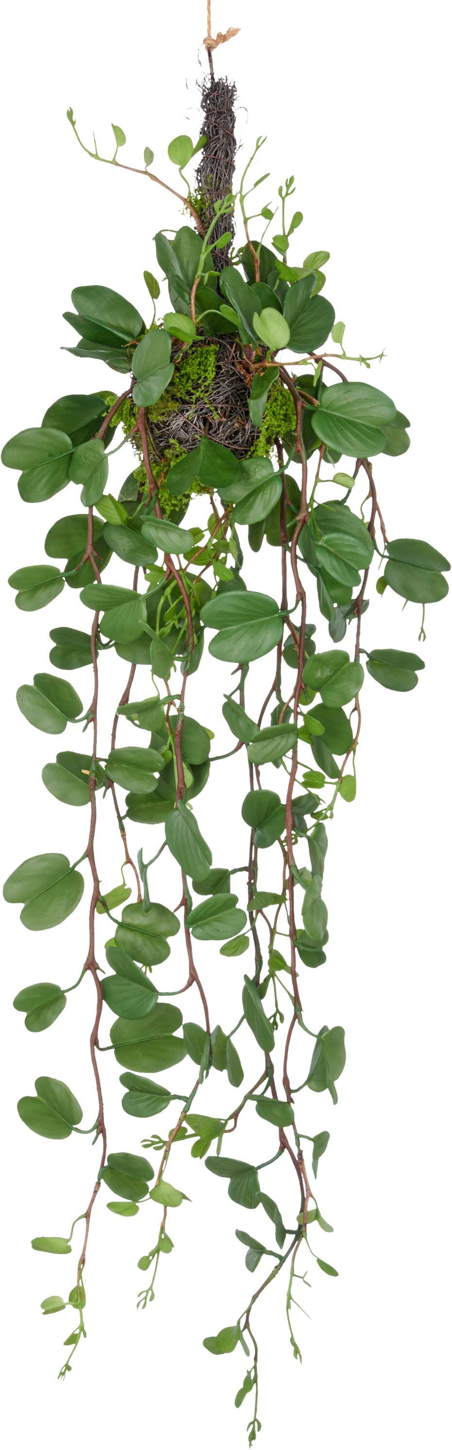 Umelá rastlina BAUHINIAHÄNGER II - zelená, Lifestyle, plast (90cm) - Mömax