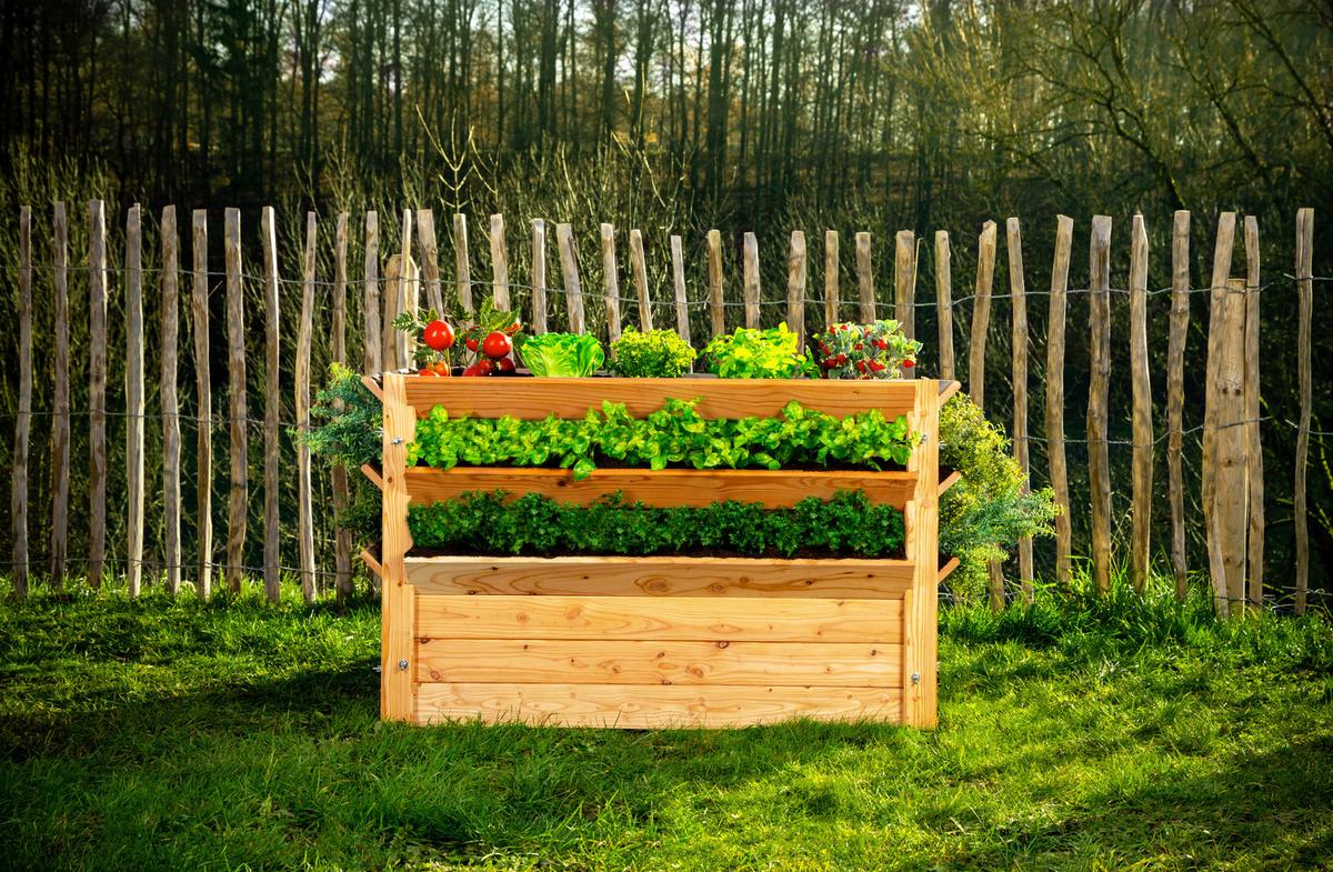 Hochbeet Echtholz Lärche 124x73x91 Cm Lärchefarben - Lärchefarben, Basics, Holz (124/73/91cm)