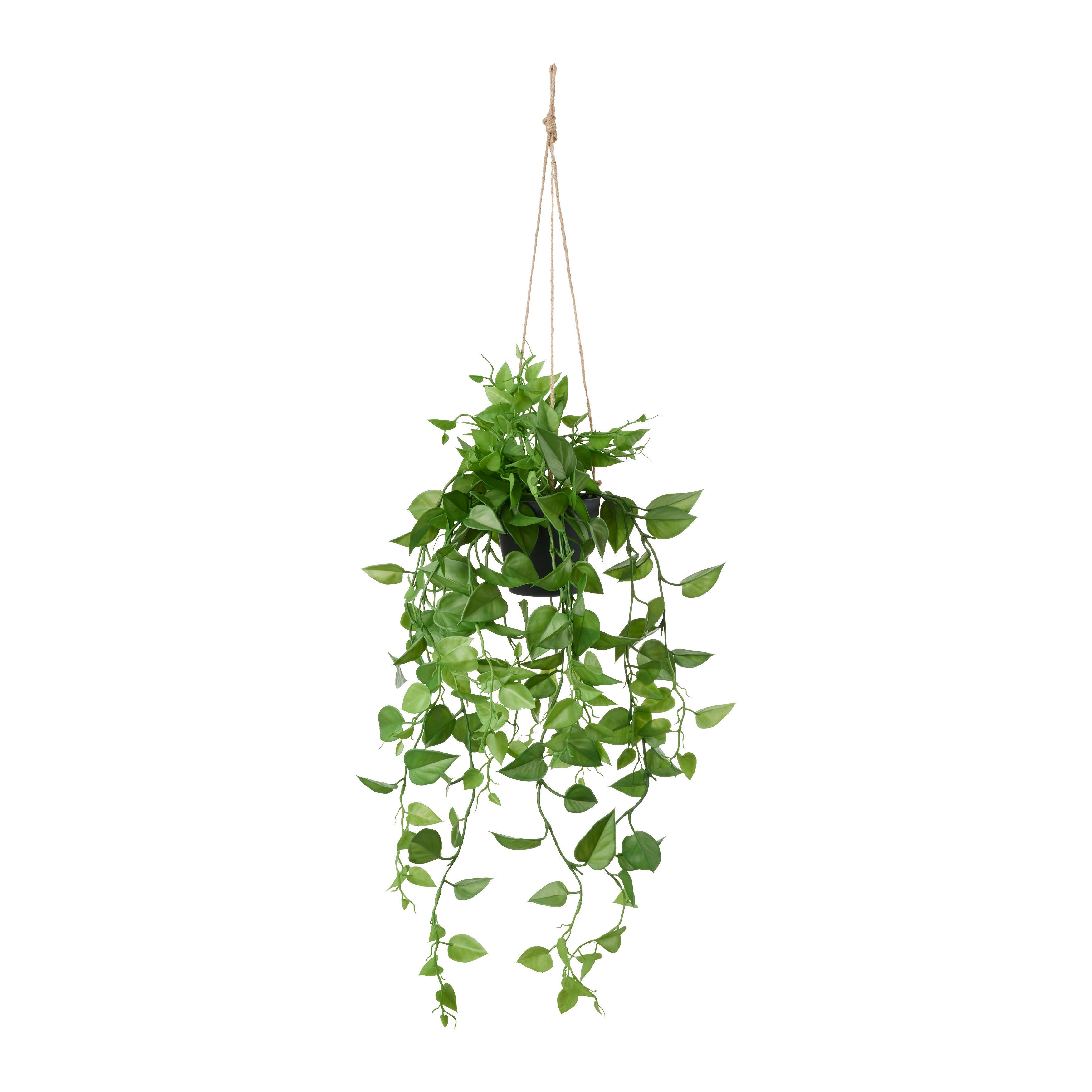 UMELÁ RASTLINA PHILODENDRON II - čierna/zelená, Modern, plast (75cm) - Modern Living