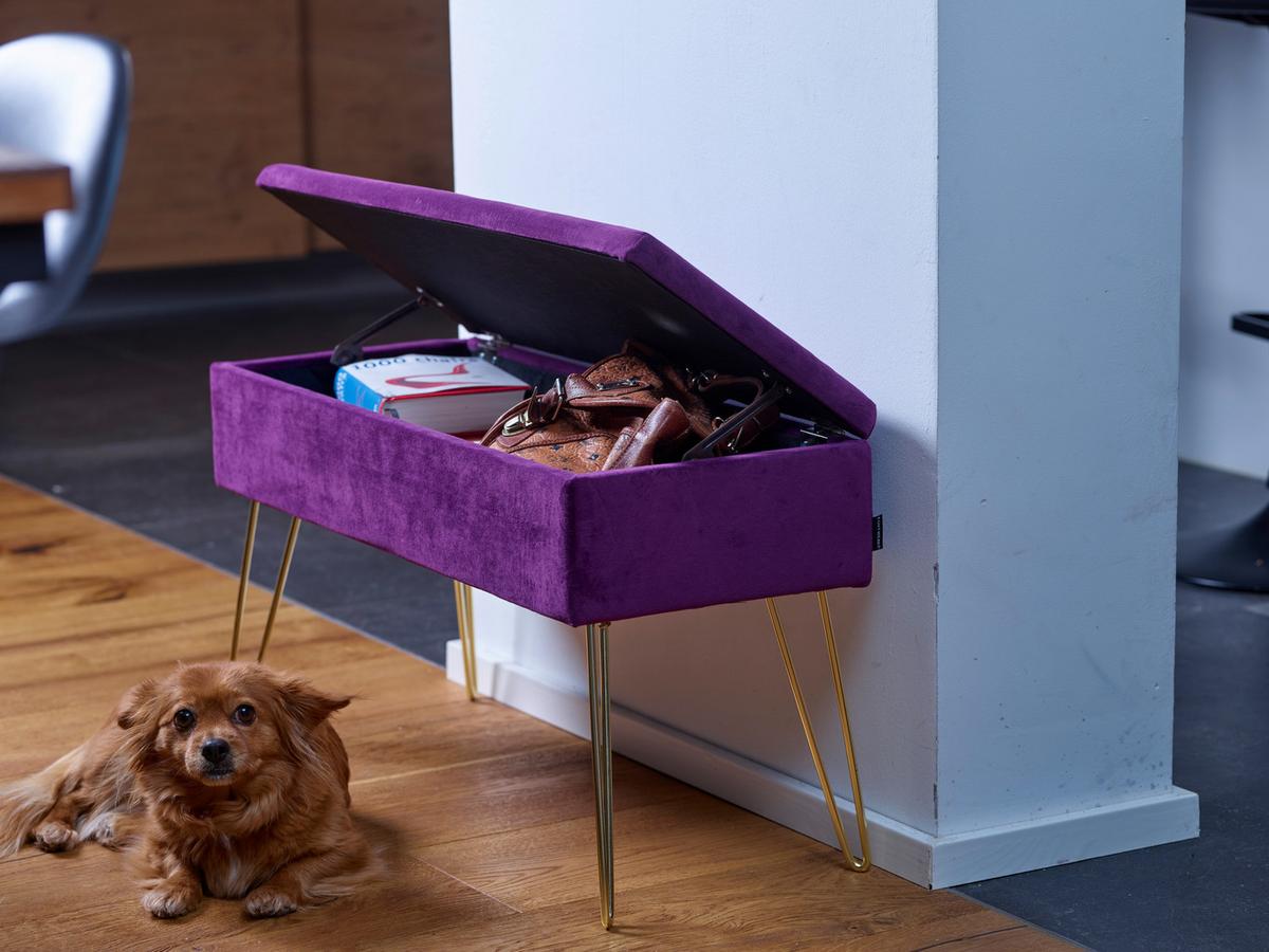 Hockerbank Scarlett Vlies Beere H: 42 cm inkl. Stauraum - Beere/Goldfarben, Design, Textil (75/42/30cm) - Echtwerk