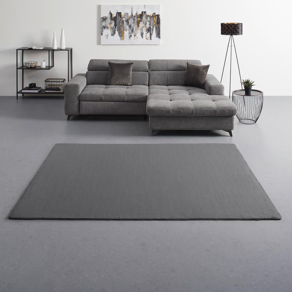 KOŽUŠINOVÝ KOBEREC PÄLSA - sivá, Konventionell, textil (120/170cm) - Mömax