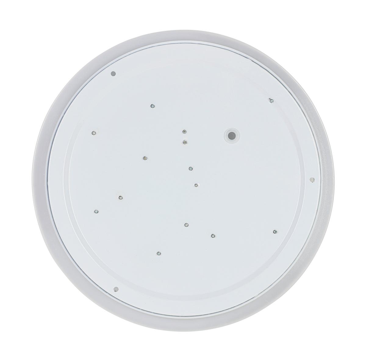 LED-Deckenleuchte, 4000k Cajus - Weiß, Basics, Kunststoff/Metall (29,5/4,2cm) - Luca Bessoni