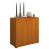 Dvoudveřová komoda Vandol Mini dekor buk - černá/barvy stříbra, Basics, kompozitní dřevo/plast (70/74/40cm) - Livetastic