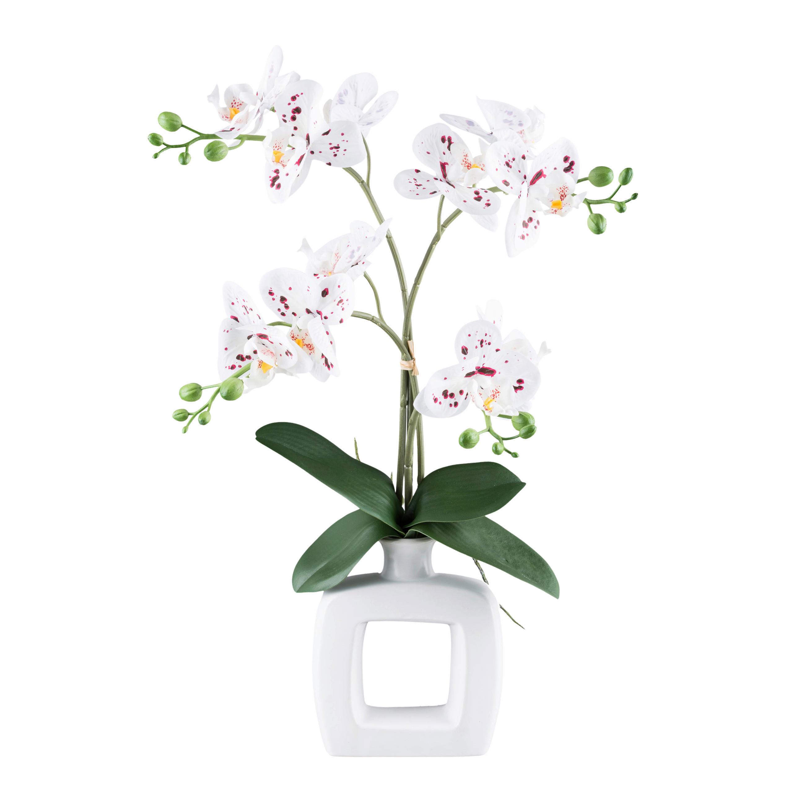 Kunstpflanze Orchideen Grün/Rot/Weiß, 42 cm - Rot/Weiß, Design, Keramik/Kunststoff (42cm) - P & B