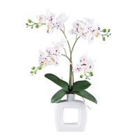 Kunstpflanze Orchideen Grün/Rot/Weiß, 42 cm - Rot/Weiß, Design, Keramik/Kunststoff (42cm) - P & B