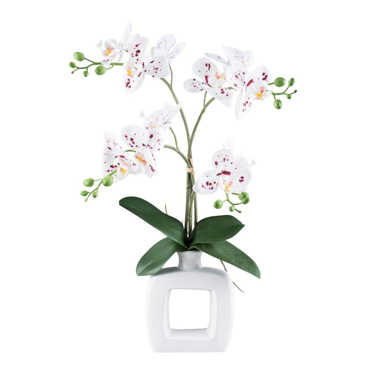 Kunstpflanze Orchideen Grün/Rot/Weiß, 42 cm - Rot/Weiß, Design, Keramik/Kunststoff (42cm) - P & B