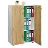 Aktenschrank Lona Weiß, Buche B: 70 cm - Buchefarben/Weiß, Design, Holzwerkstoff (70/110/39cm) - MID.YOU