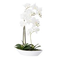 Orchidee Birgit - Weiß/Grün, KONVENTIONELL, Kunststoff/Textil (33/12/60cm) - Luca Bessoni