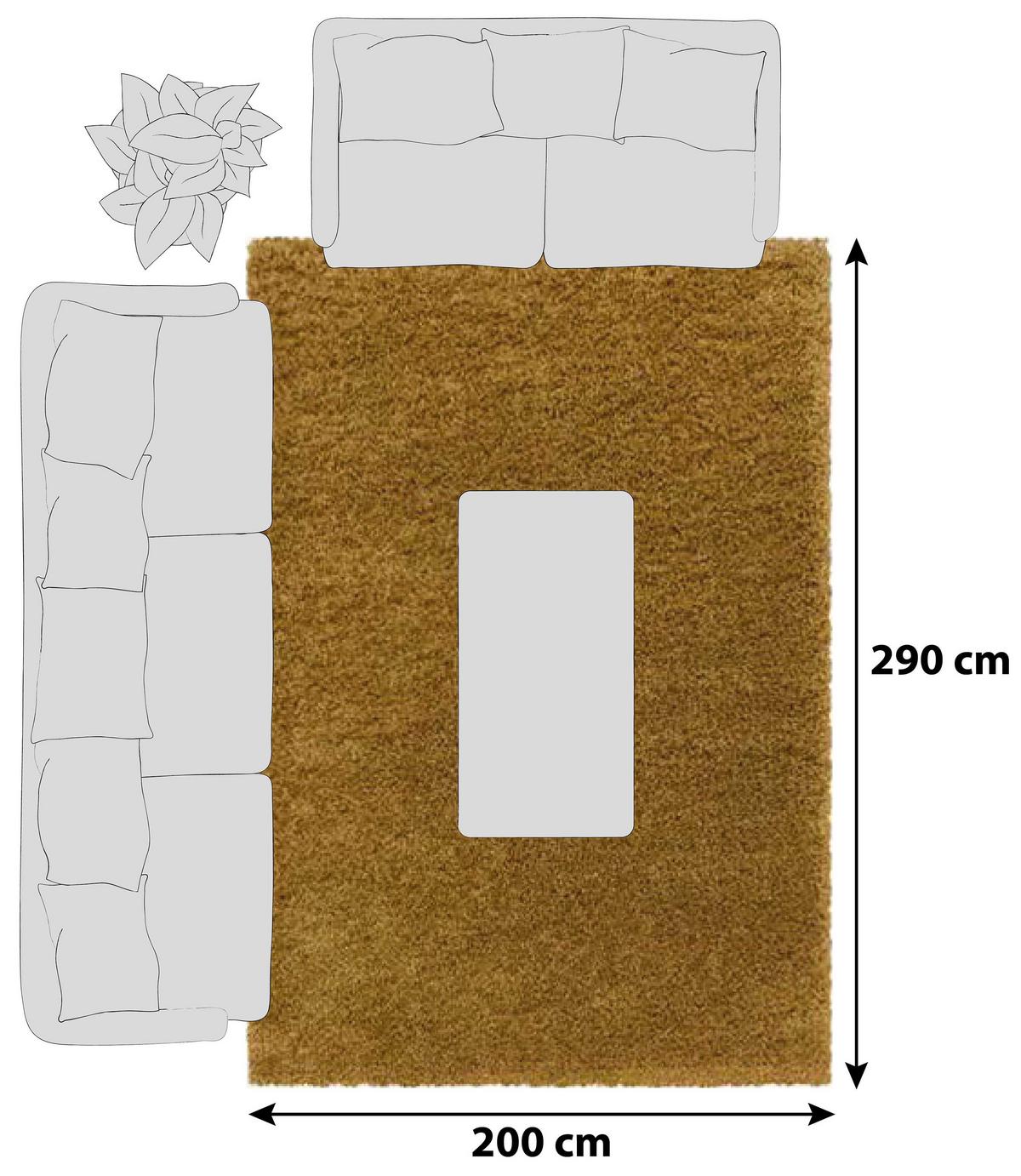 Hochflor Teppich Goldfarben Naturfaser Sydney 200x290 cm - Goldfarben, Basics, Textil (200/290cm)