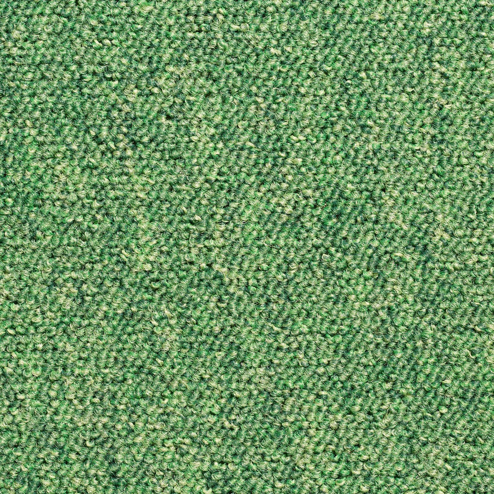 Teppichfliese Grün Mustang 50x50 Cm Florhöhe 3 Mm