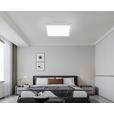 LED-Deckenleuchte Severin - Silberfarben/Weiß, MODERN, Kunststoff/Metall (30/30/5,5cm) - Luca Bessoni