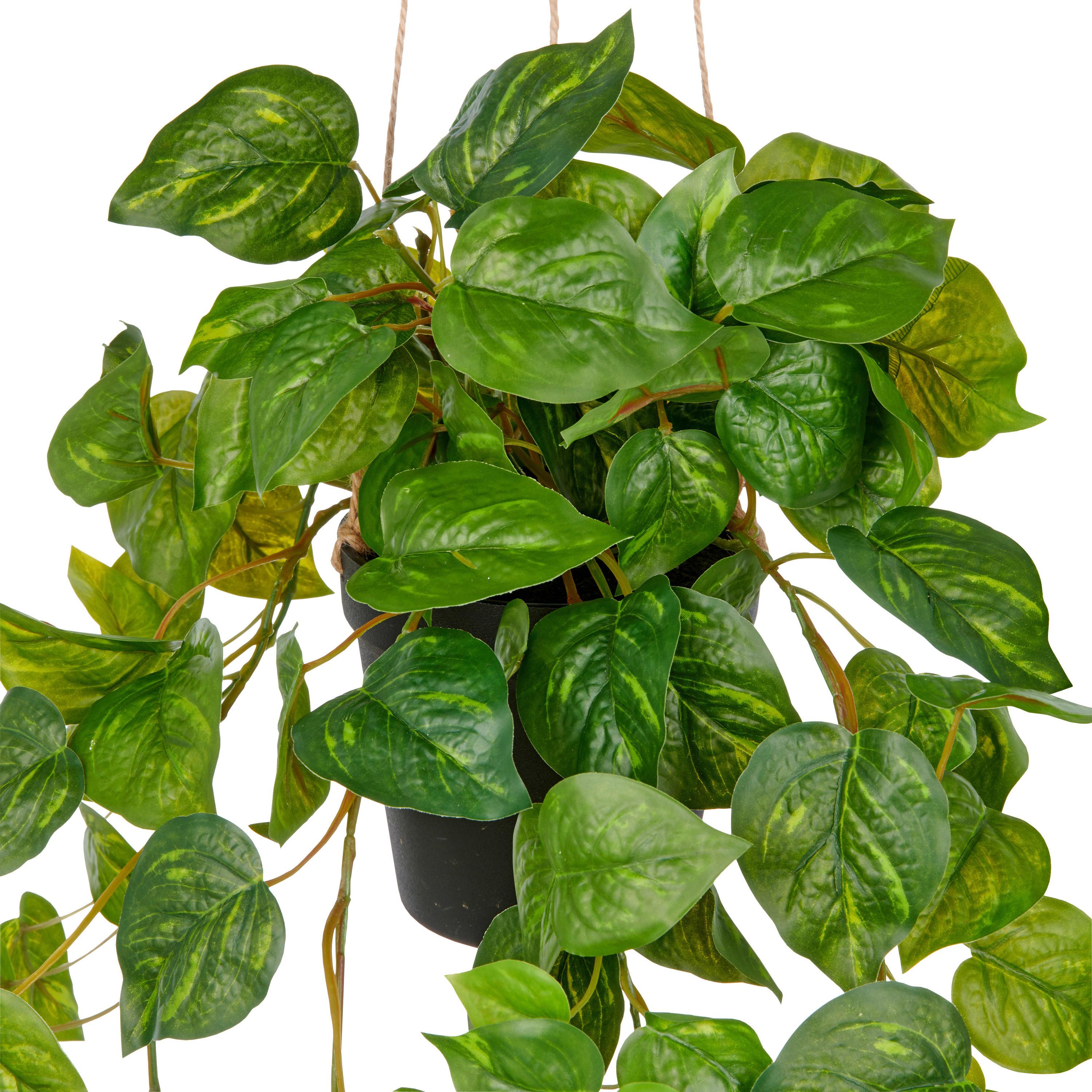 Umělá rostlina PHILODENDRONHÄNGER II - černá/zelená, Lifestyle, plast (75cm) - Mömax