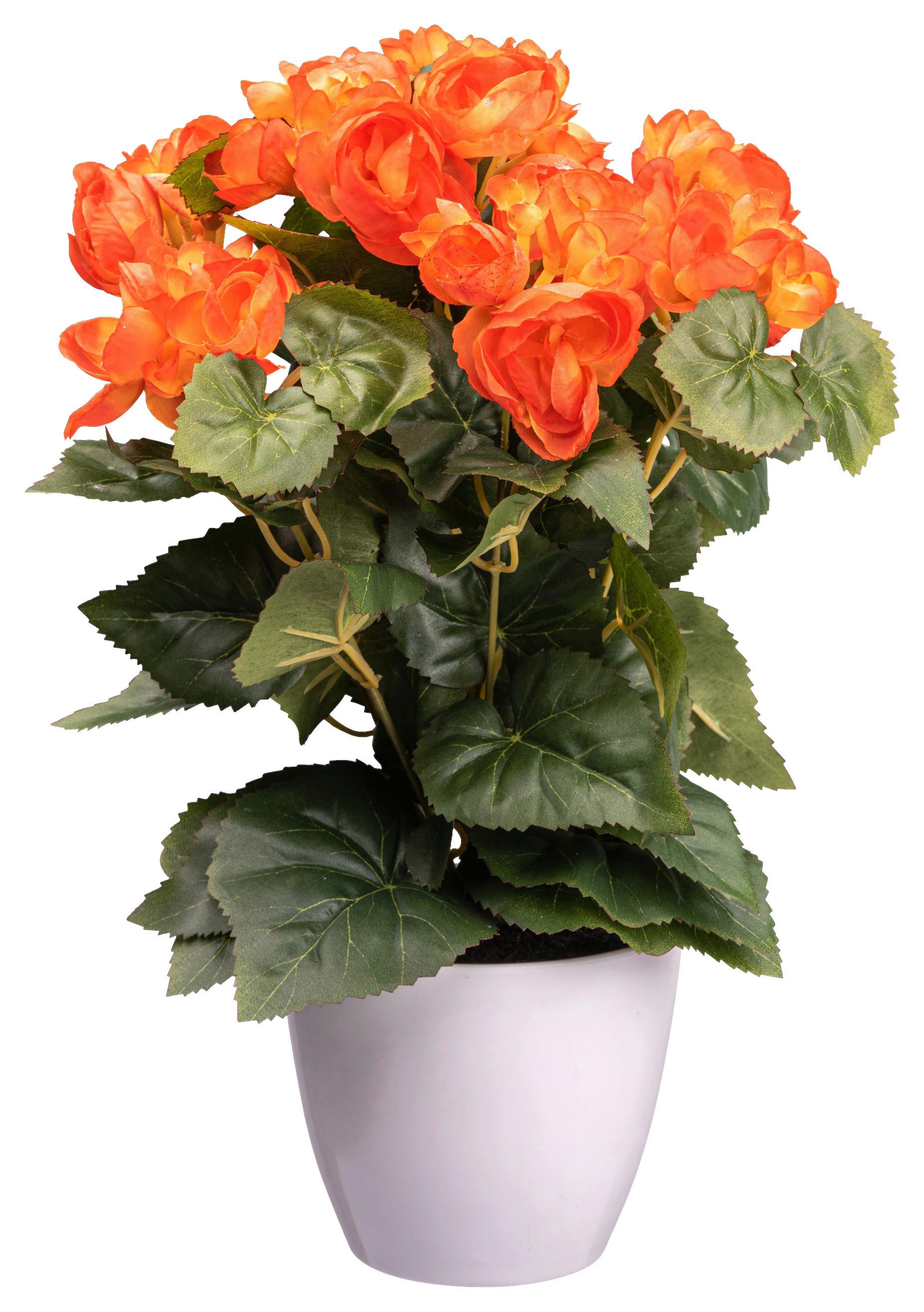 Kunstpflanze Blühpflanzen Orange/Grün/Weiß, 35 cm - Orange/Weiß, Design, Kunststoff (35cm) - P & B
