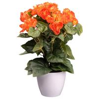 Kunstpflanze Blühpflanzen Orange/Grün/Weiß, 35 cm - Orange/Weiß, Design, Kunststoff (35cm) - P & B