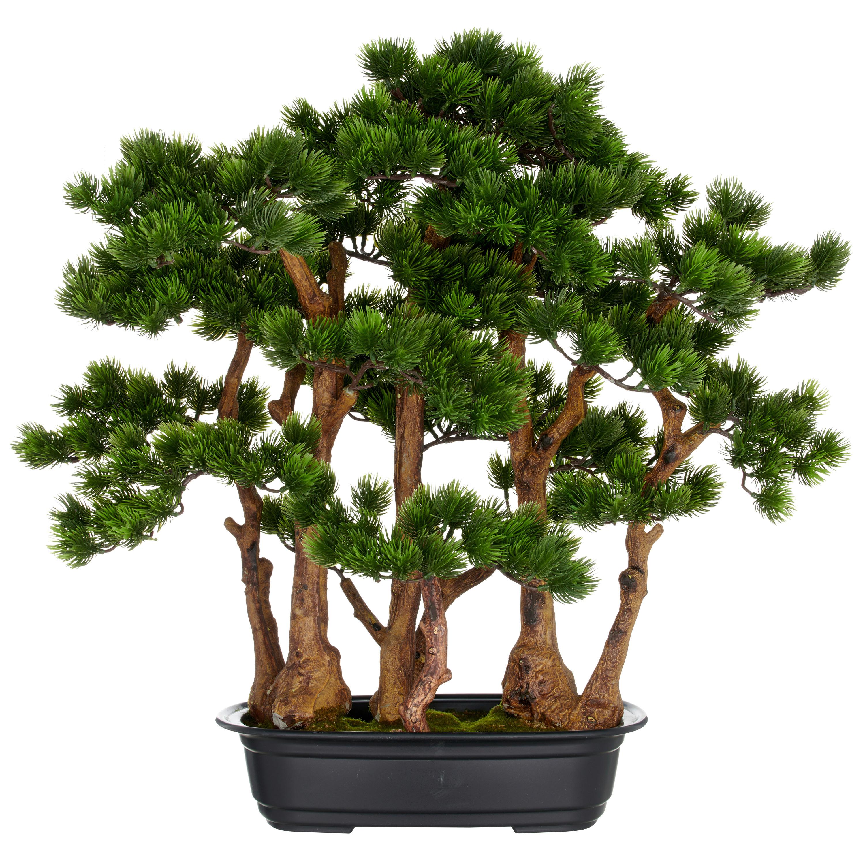 Kunstpflanze Juniperus Hänger Kunststoff, Grün, H: 60 cm - Schwarz/Braun, Basics, Kunststoff (60cm) - P & B