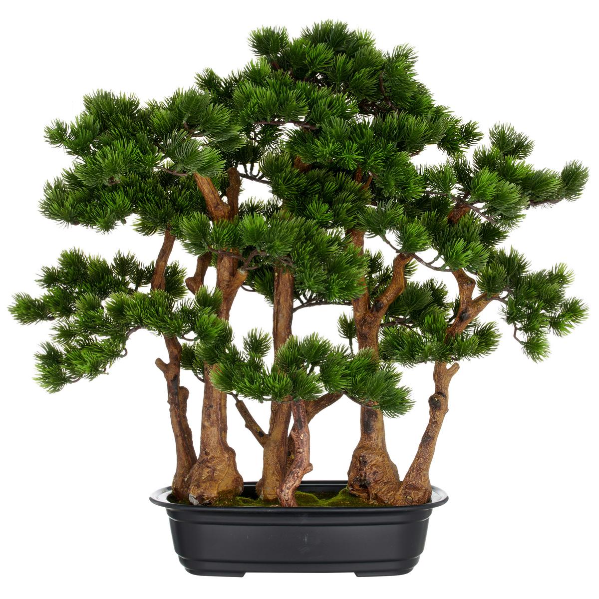Kunstpflanze Juniperus Hänger Kunststoff, Grün, H: 60 cm - Schwarz/Braun, Basics, Kunststoff (60cm) - P & B