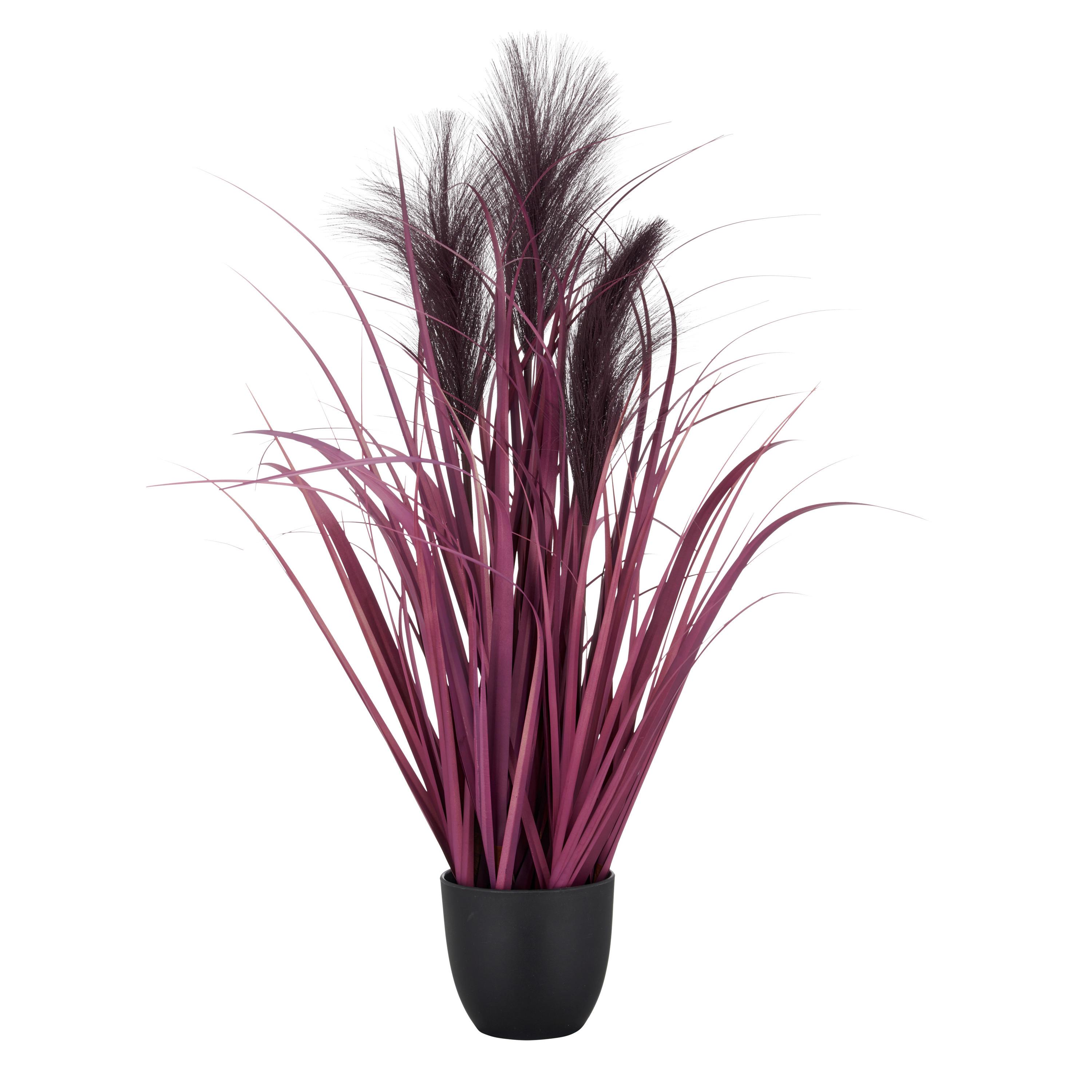 Umelá rastlina PAMPASGRAS I - lila/čierna, Basics, plast (10,5/65cm) - Mömax