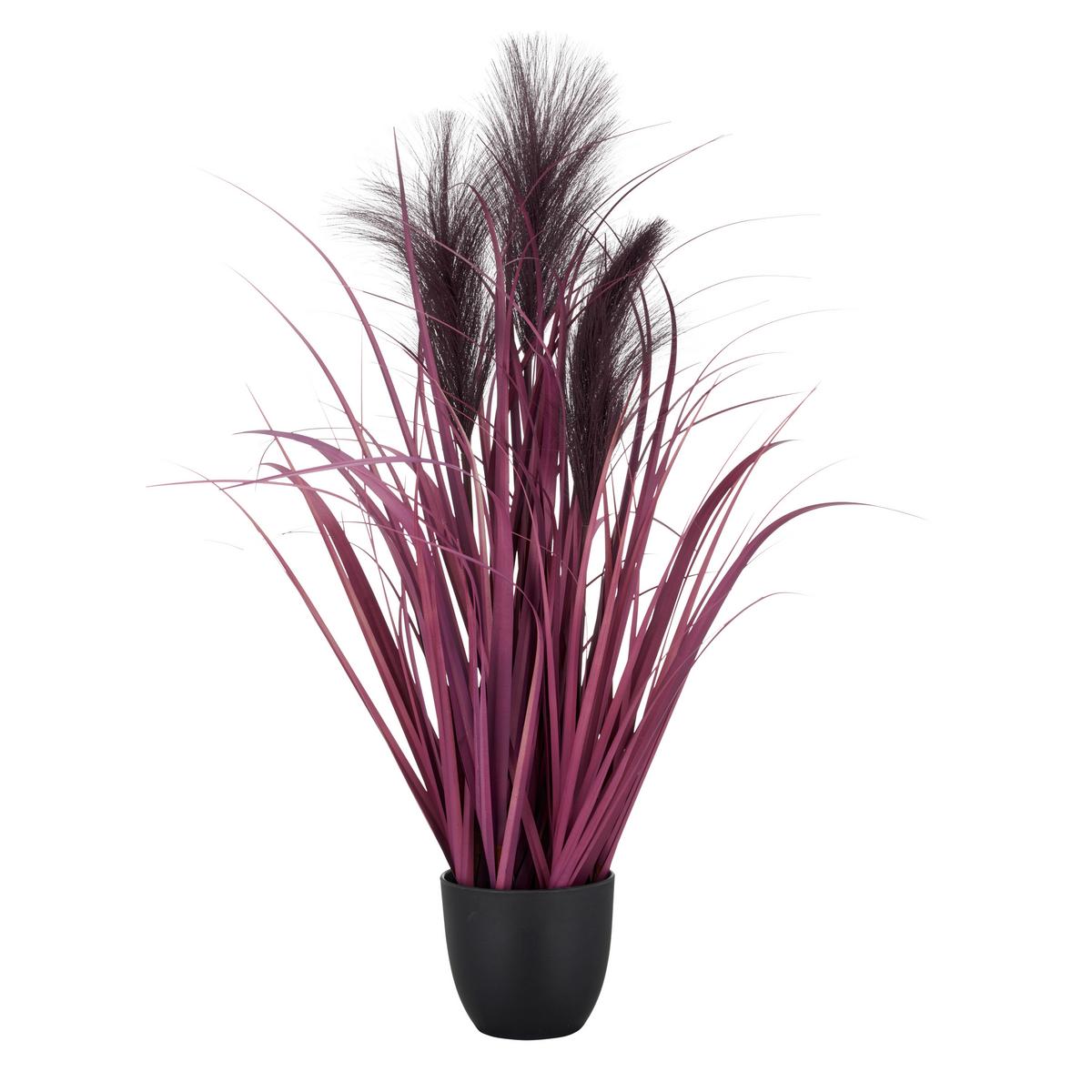 Umelá rastlina PAMPASGRAS I - lila/čierna, Basics, plast (10,5/65cm) - Mömax