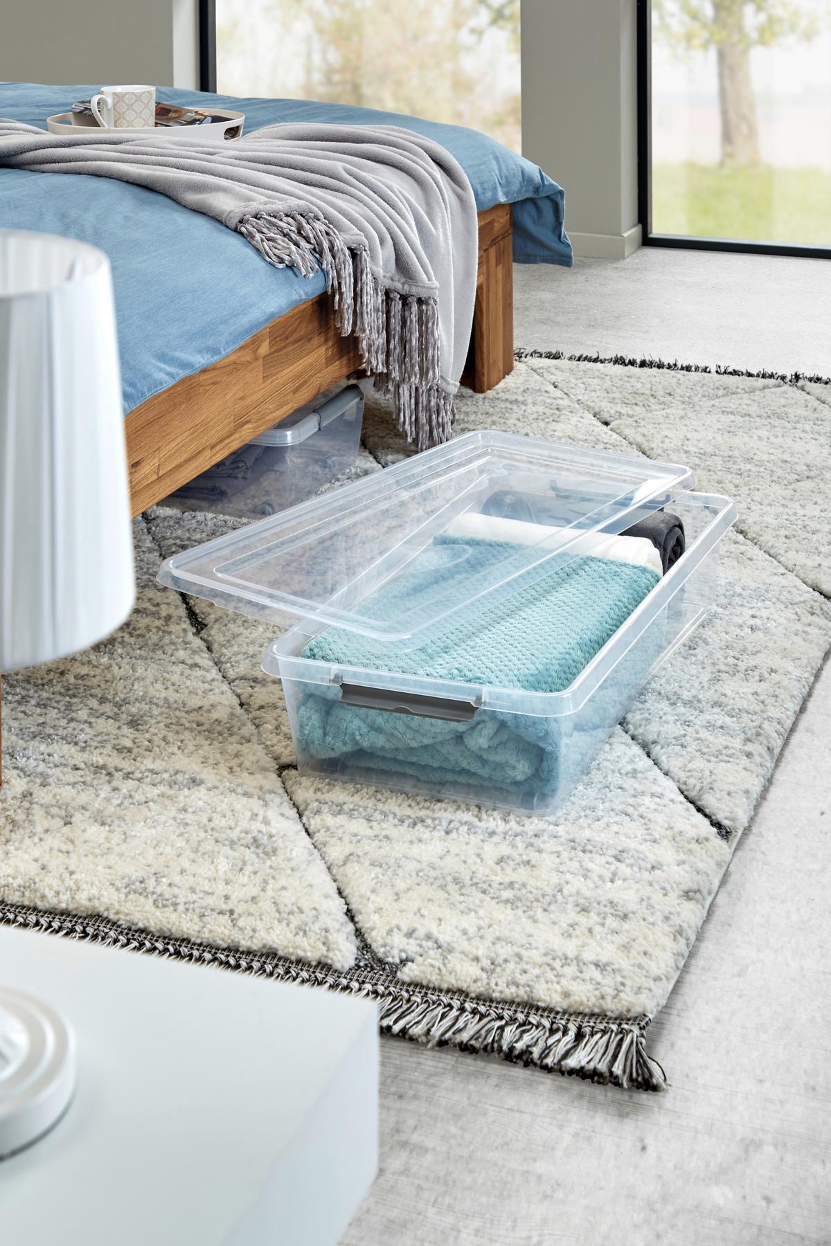 Unterbettroller M. Deckel Mila 29l, 58x39x16,5 Cm - Transparent/Schwarz, Basics, Kunststoff (58/39/16,5cm) - Homezone