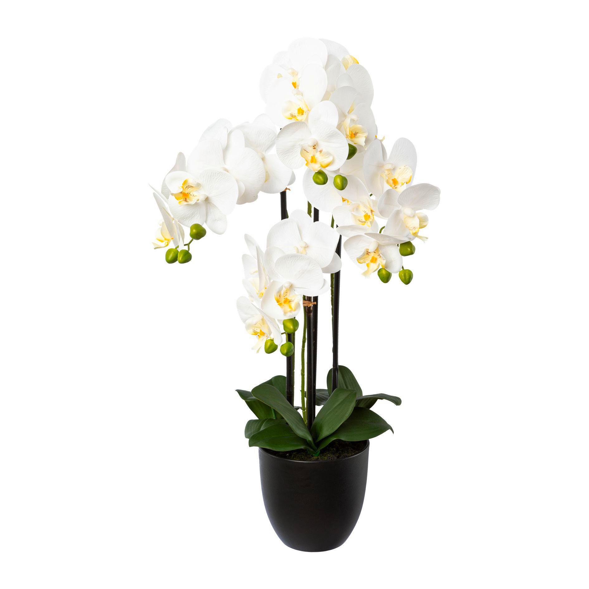 Kunstblume Orchidee H: 69 cm - Schwarz/Weiß, Trend, Kunststoff (69cm) - P & B