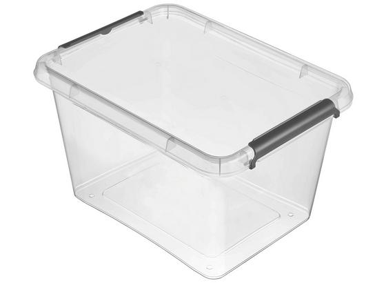 Box mit Deckel Lara - Transparent, Basics, Kunststoff (39/29/21cm) Box mit Deckel Lara - Transparent, Basics, Kunststoff (39/29/21cm)