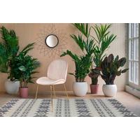 Sada židlí béžová - barvy mosazi/béžová, Moderní, kov/plast (47/90/59cm) - Kayoom