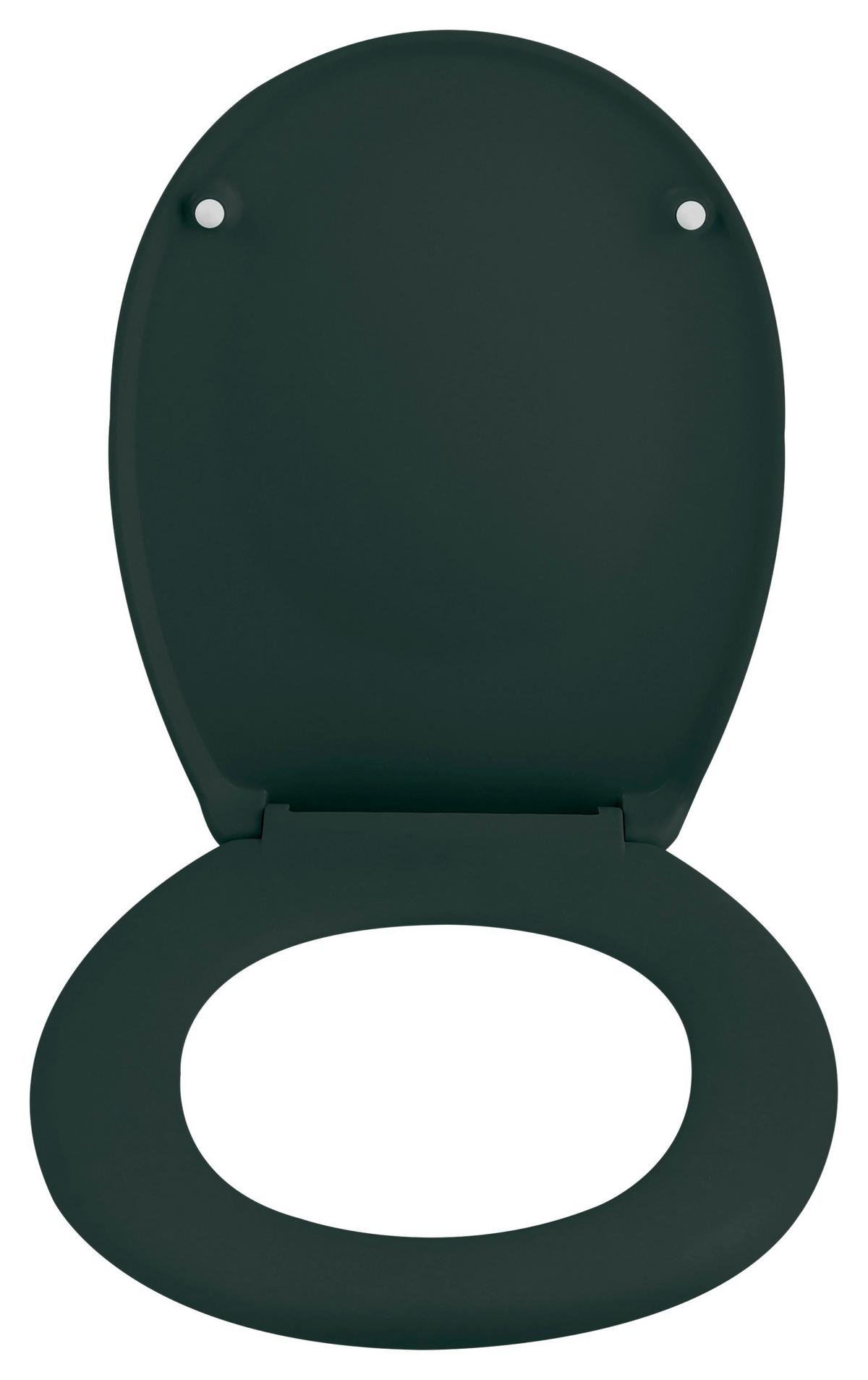 WC-Sitz Neela - Dunkelgrün, KONVENTIONELL, Kunststoff (37,3/5cm) - Spirella