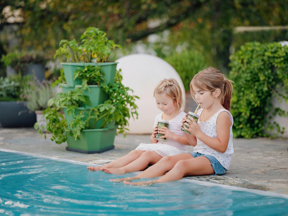 Pflanztopf Paul Potato Starter Dunkelgrün - Grün, Basics, Kunststoff (44/65/44cm)