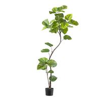 Kunstpflanze H: 160 cm - Schwarz/Braun, Design, Kunststoff (160cm) - P & B