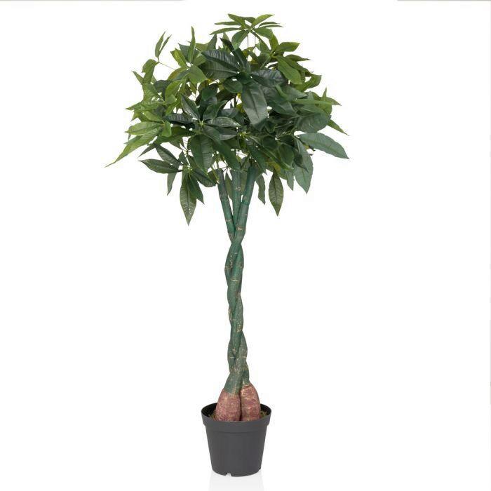 Kunstpflanze Schwarz/grün  B: 66 Cm - Schwarz/Grün, MODERN, Kunststoff (66/160/77cm) - MID.YOU