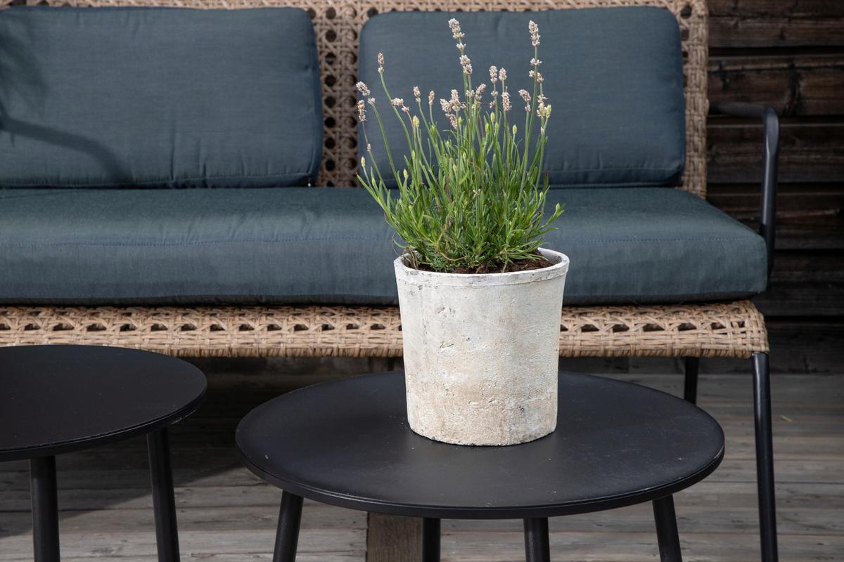 Loungegarnitur 5-tlg Paola Holz/metall Mit Kissen - Dunkelgrau/Schwarz, KONVENTIONELL, Naturmaterialien/Holz - Gardenson