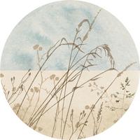 Fototapete Gazon - Blau/Braun, Trend (125cm)