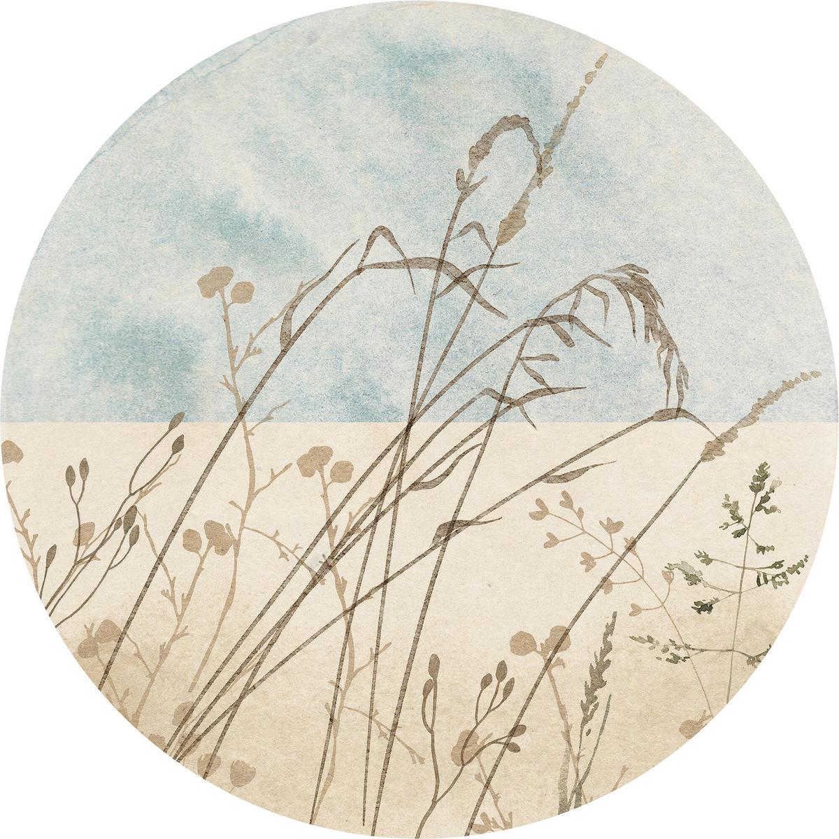 Fototapete Gazon - Blau/Braun, Trend (125cm)