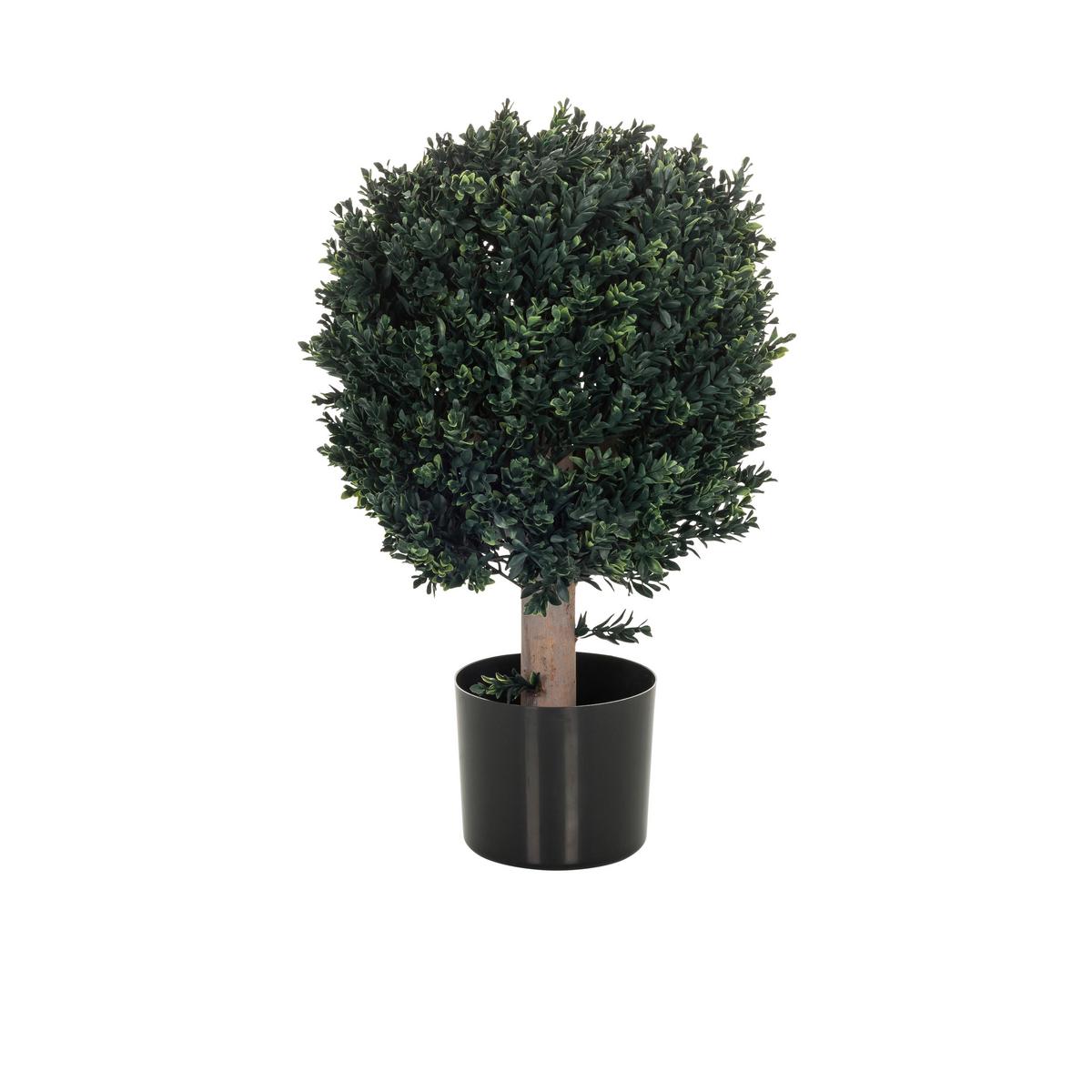 Kunstpflanze Buxus - Schwarz/Braun, Basics, Kunststoff (40/65/40cm) - MID.YOU