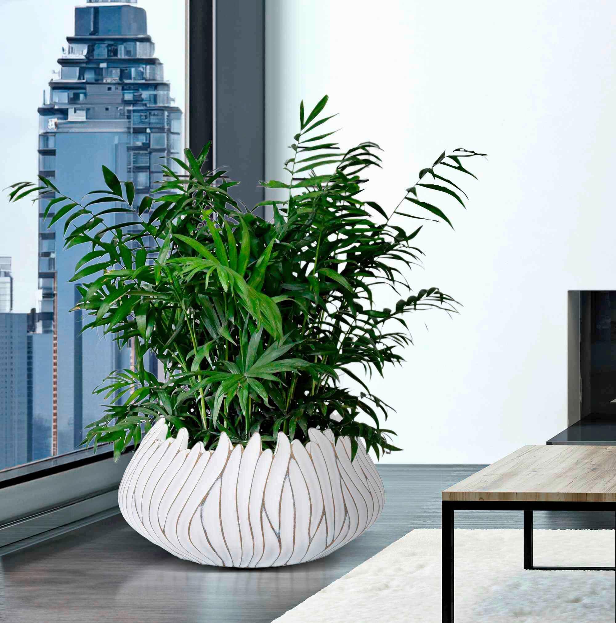 Vase Polyresin Honduras Weiß B: 40 Cm - Weiß, Basics, Kunststoff (40/20/40cm)