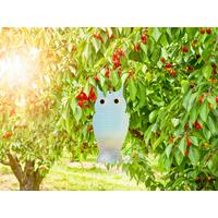 Vogelabwehr Reflektor, 2 Stück Transparent - Transparent, Basics, Kunststoff (14/29/0,1cm) - Windhager