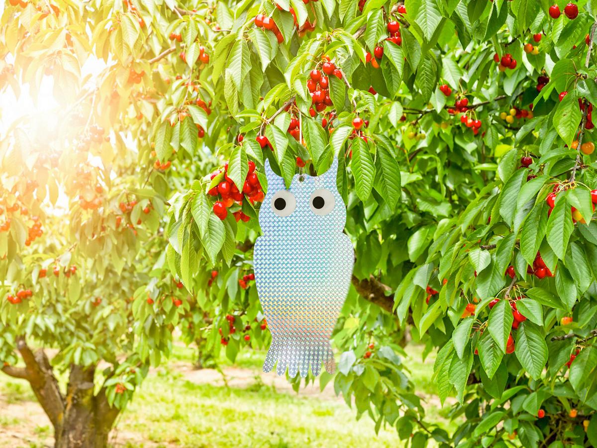 Vogelabwehr Reflektor, 2 Stück Transparent - Transparent, Basics, Kunststoff (14/29/0,1cm) - Windhager