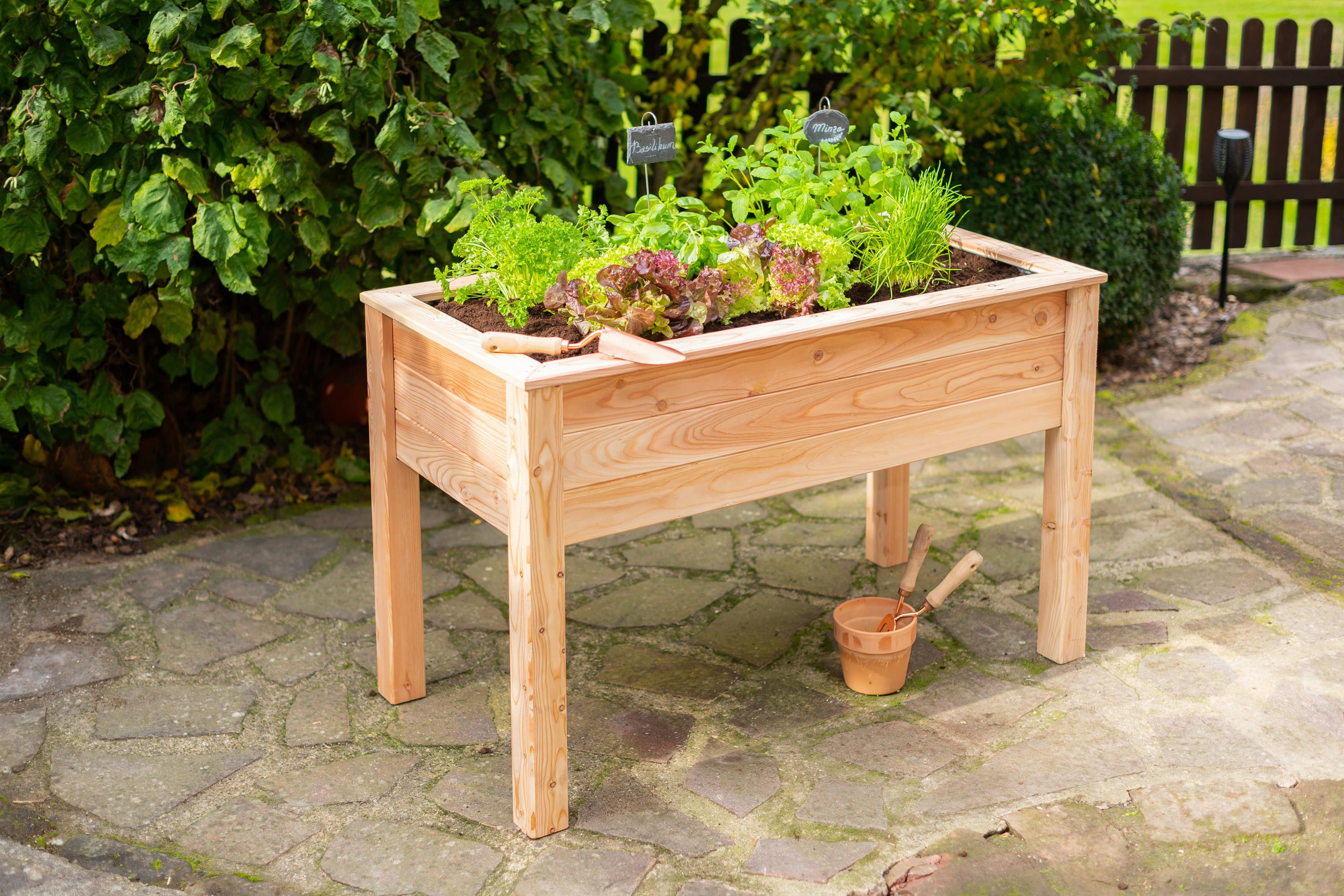 Hochbeet Echtholz Lärche 120x75x65 Cm Lärchefarben - Lärchefarben, Basics, Holz (120/75/65cm)