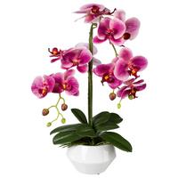 Kunstpflanze Orchideen Dunkelrosa, inkl.topf, H:52 cm - Dunkelrosa/Schwarz, Design, Keramik/Kunststoff (52cm) - P & B