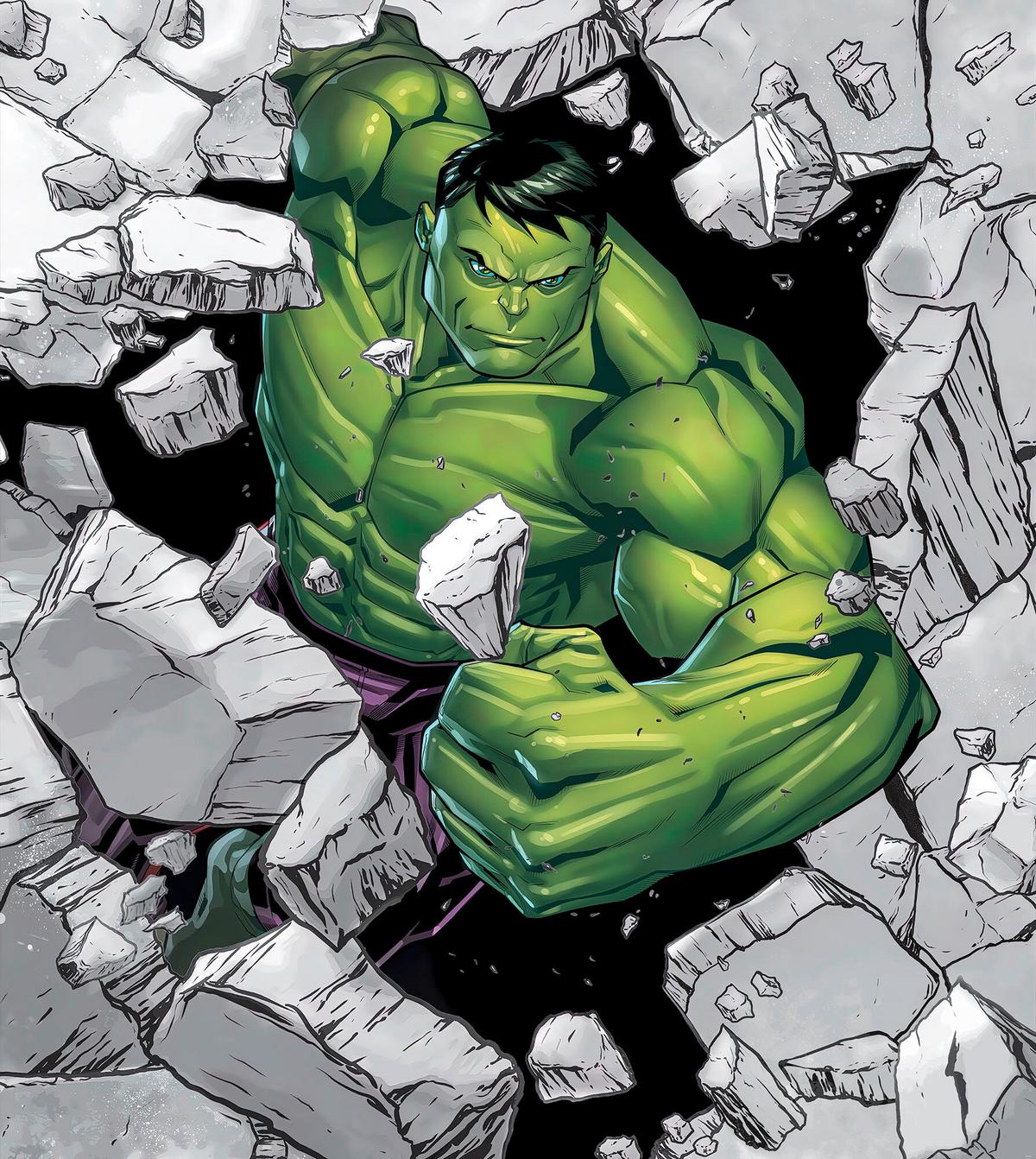 Fototapete Hulk Breaker - Schwarz/Weiß, Trend, Textil (250/280cm)