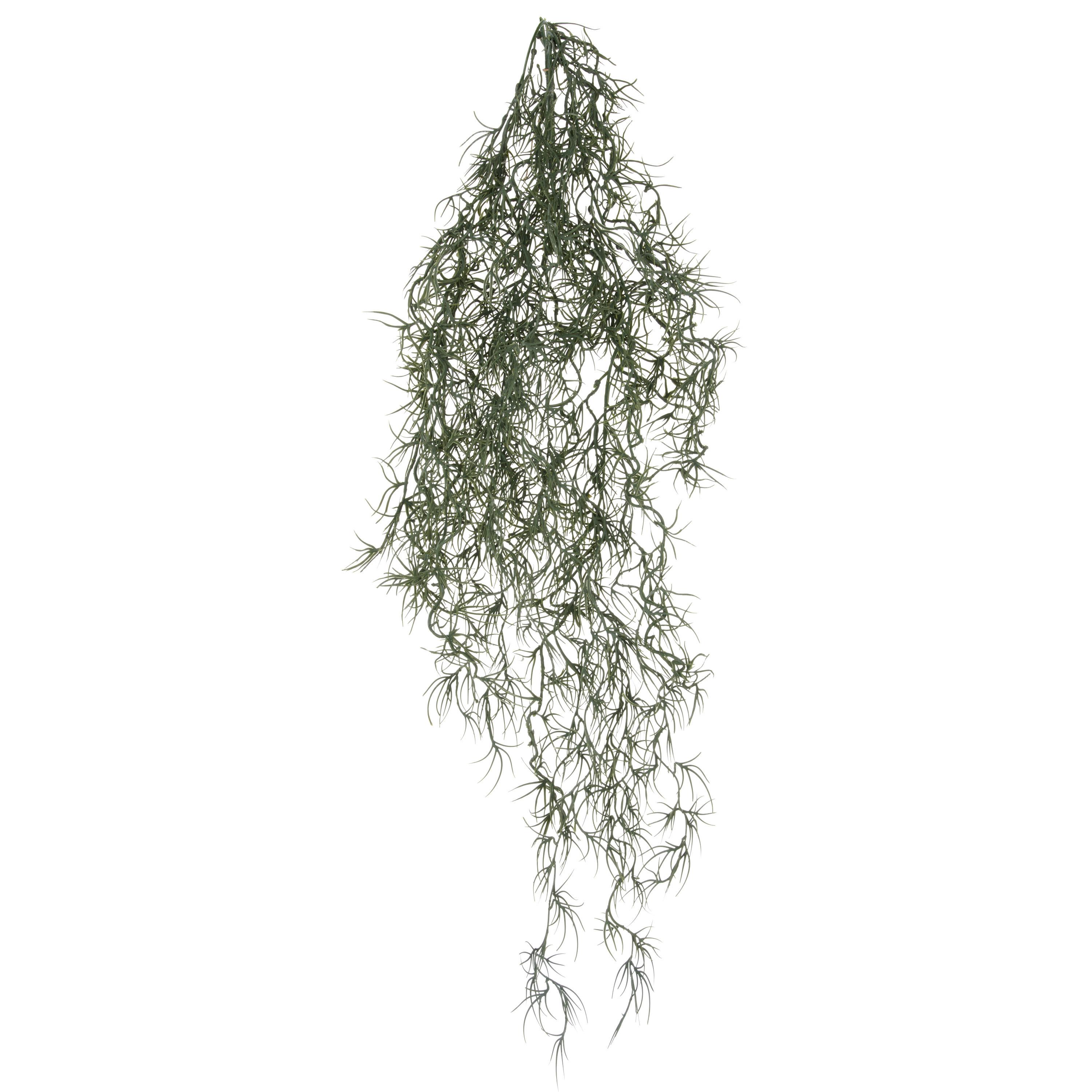 KUNSTPFLANZE Grau Grün B: 25 cm - Grau/Grün, Basics, Kunststoff (120cm)