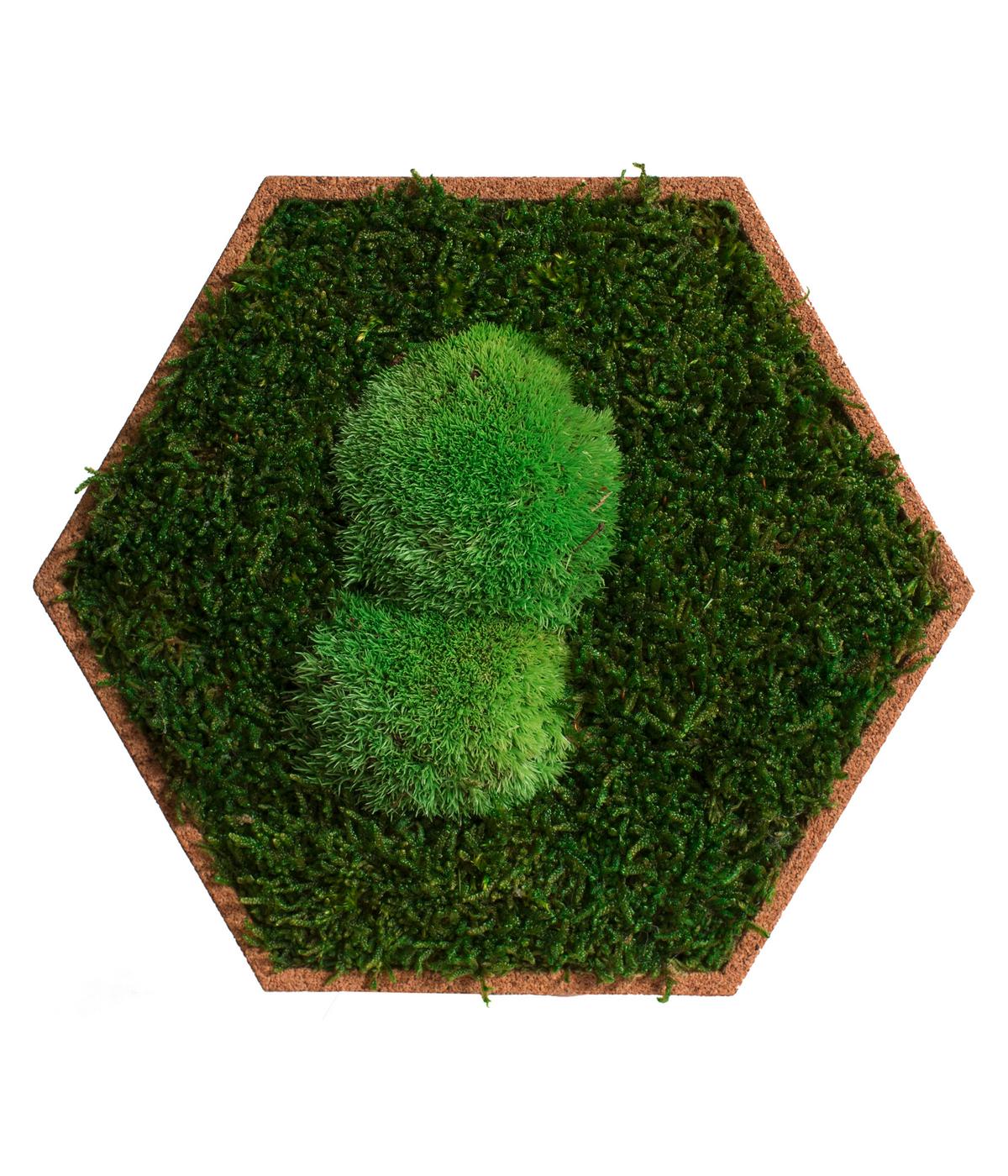 Moospaneel Grün Hellbraun B: 19 cm - Hellbraun/Grün, Basics, Naturmaterialien/Holz (19/22cm)