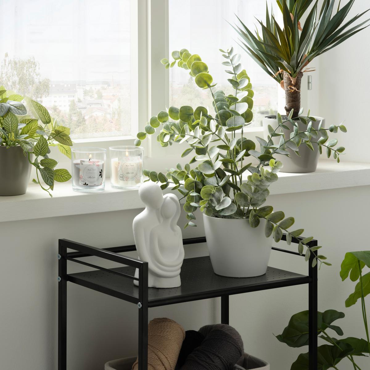 Umělá rostlina Eucalyptus, V: 53cm - šedá/černá, Basics, plast (53cm) - Modern Living