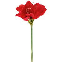 Kunstpflanze Amaryllis - Rot/Grün, Basics, Kunststoff (50cm)