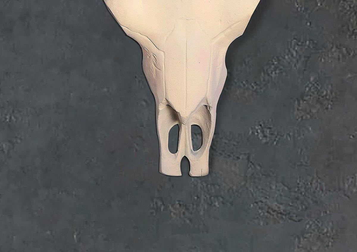 Wanddeko Weiß B: 55,5 cm - Weiß, Design, Metall (55,5/40/14cm) - Livetastic
